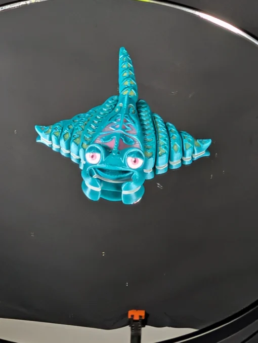 Mini Manta (2)