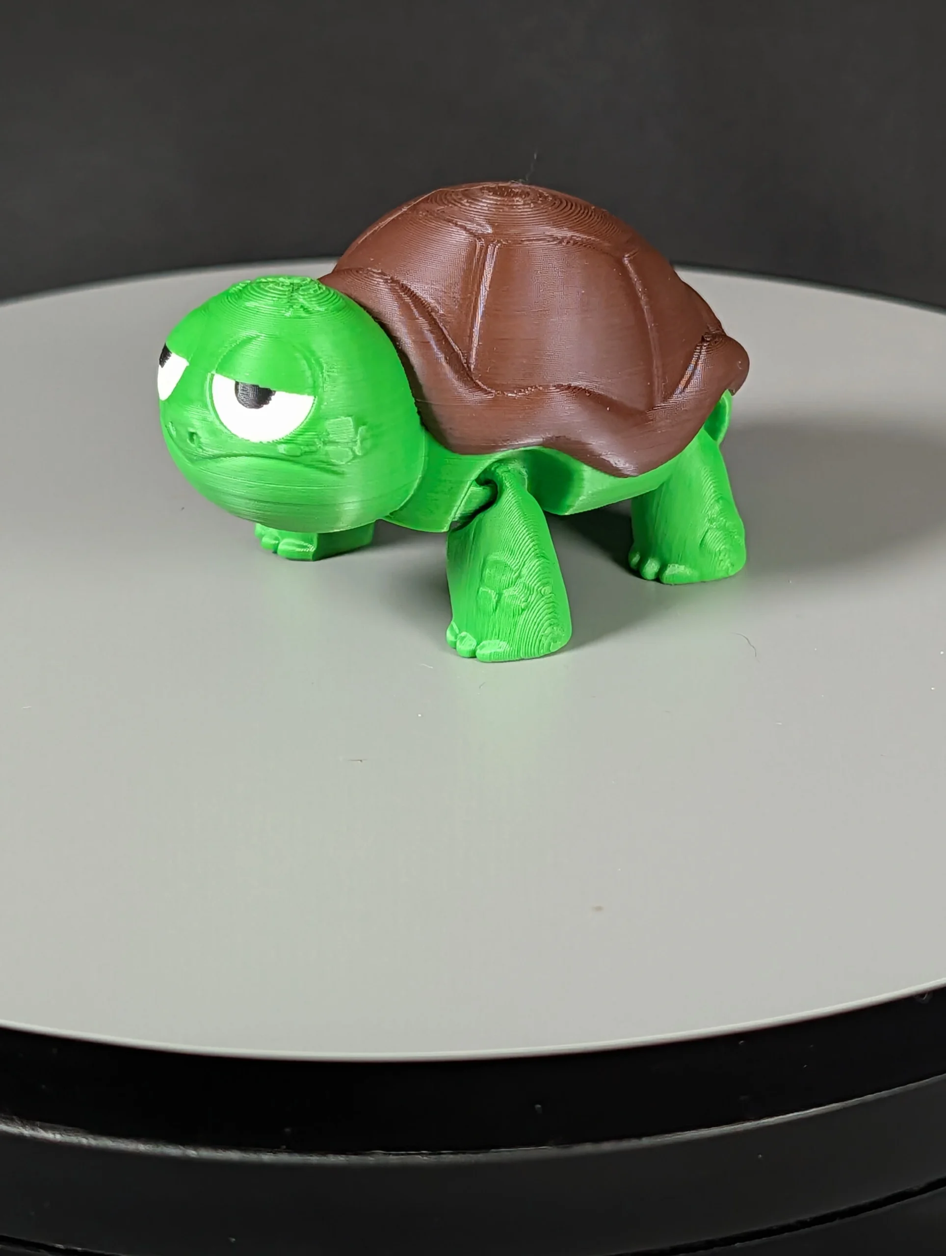 Mini not impressed turtle (1)