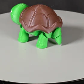 Mini not impressed turtle (2)