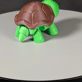 Mini not impressed turtle (3)