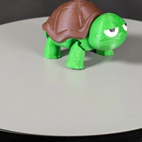 Mini not impressed turtle (4)