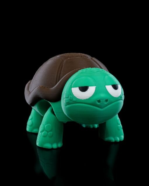 Not_Surprised_Turtle1_82cfc6eff2