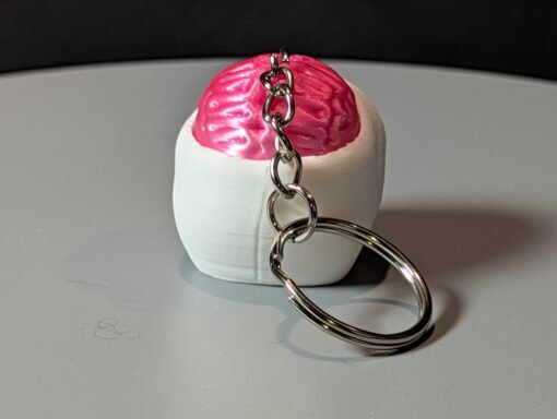 PXL_20251010_161934541