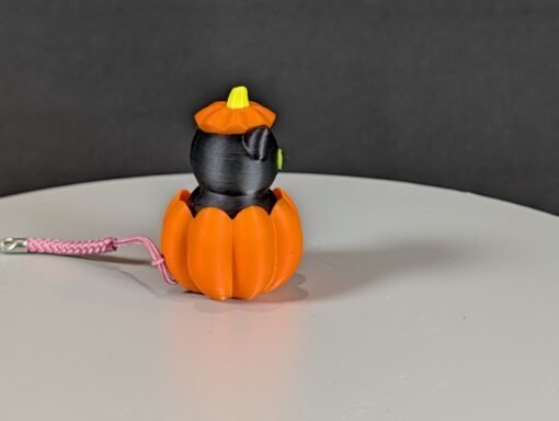 PXL_20251010_162149713