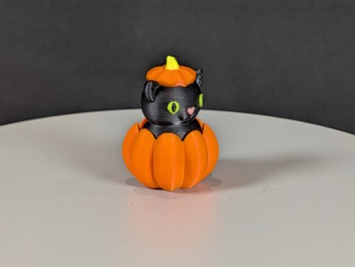 PXL_20251010_162153795